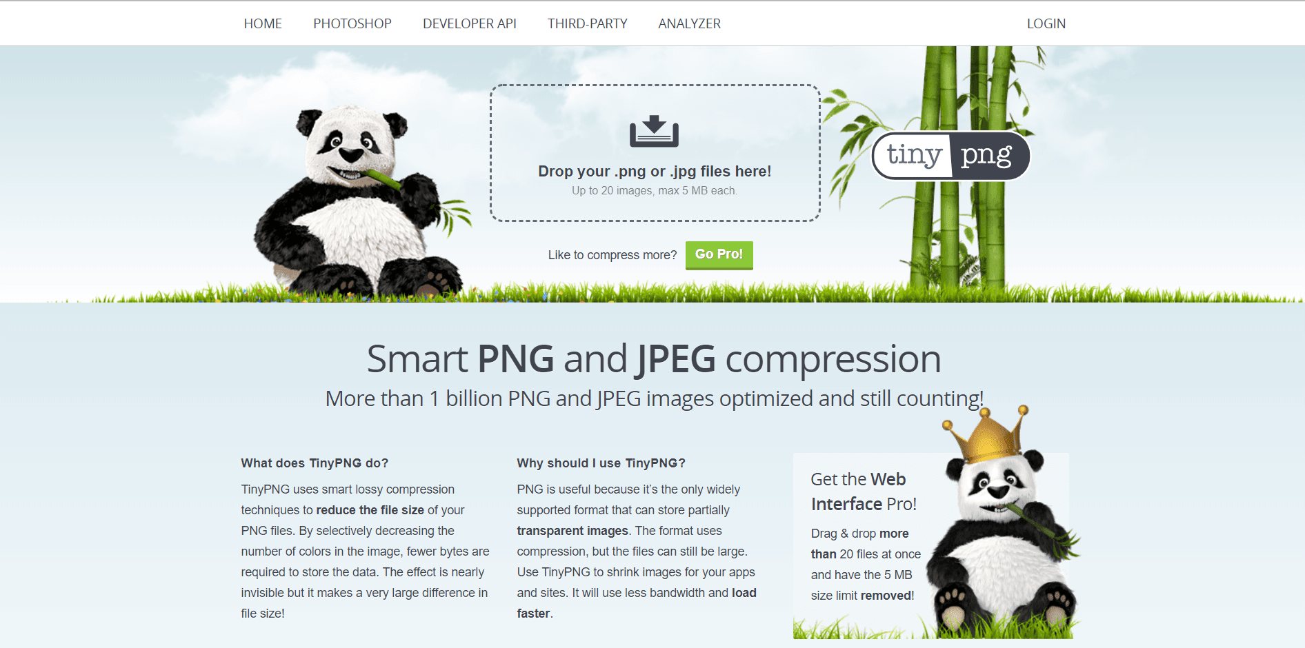 TinyPNG homepage. Image of a panda eating bamboo as well as other text written on the screen.
